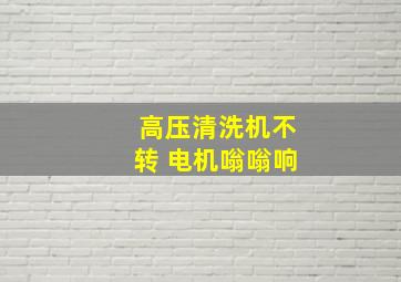 高压清洗机不转 电机嗡嗡响